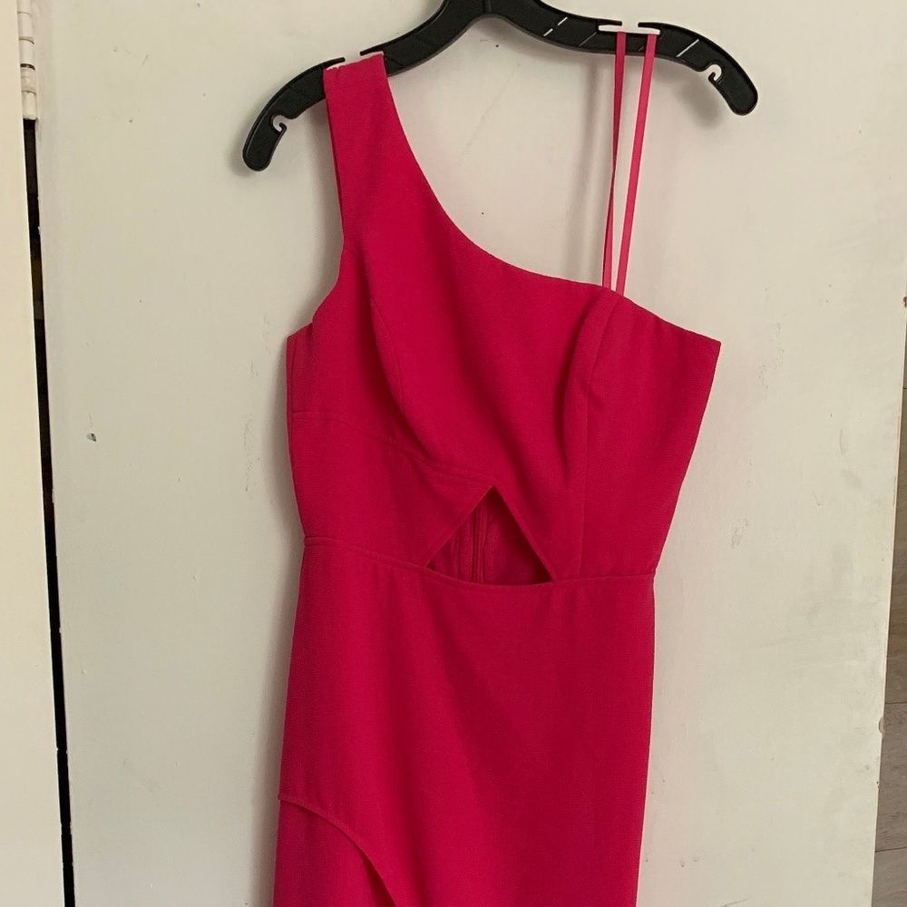 Kauri Pink BCBG Dress